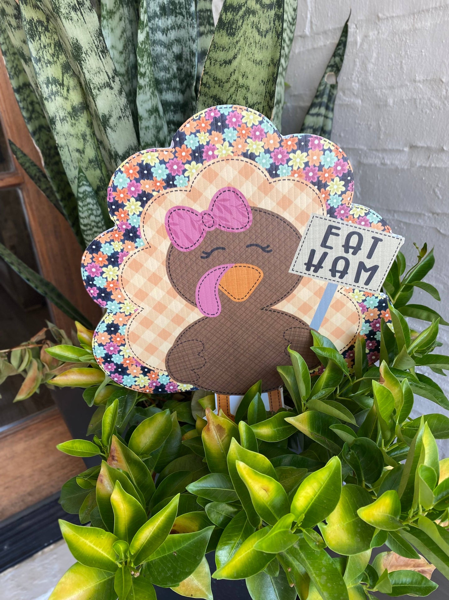 TURKEY EAT HAM