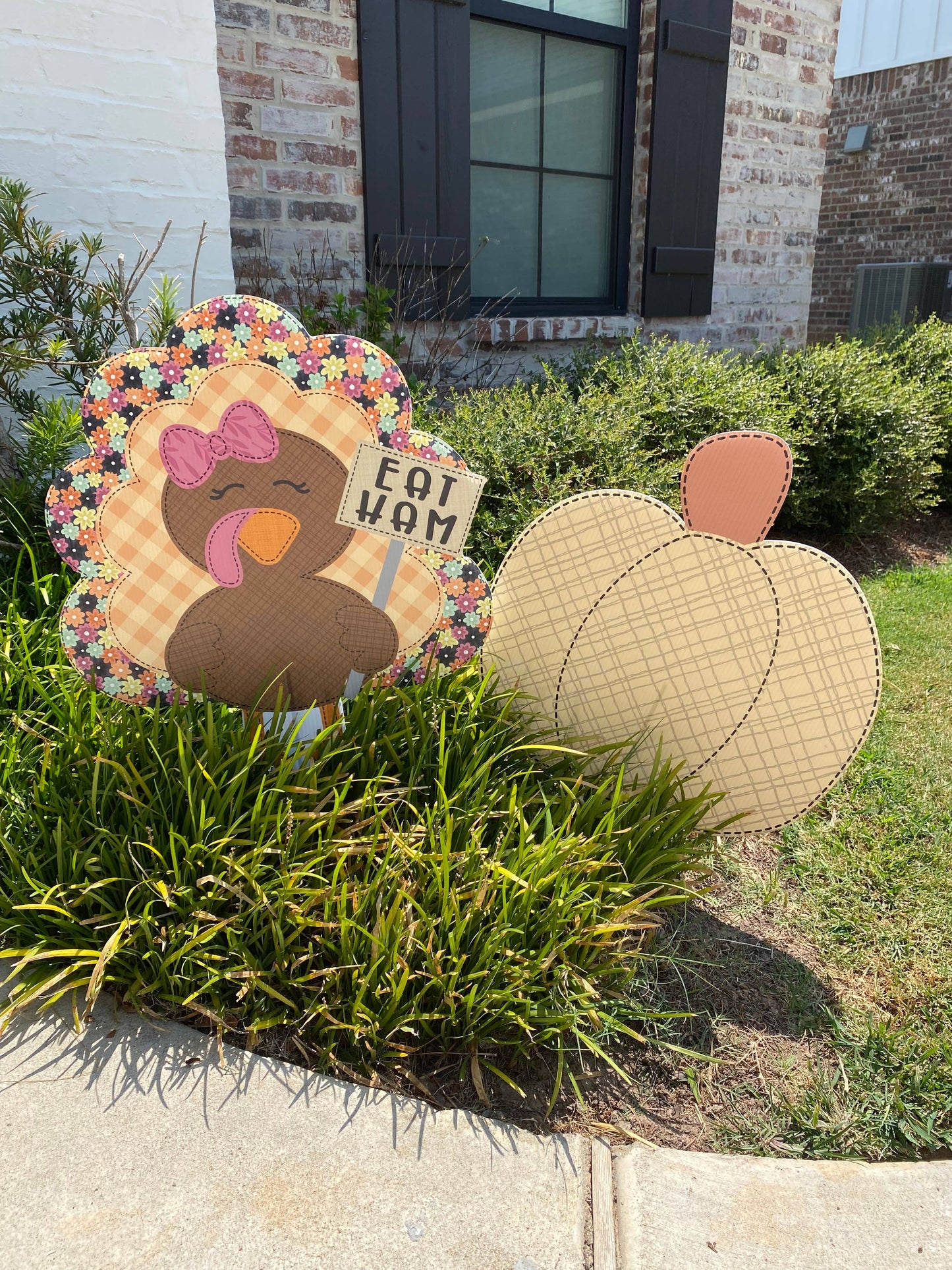 TURKEY EAT HAM