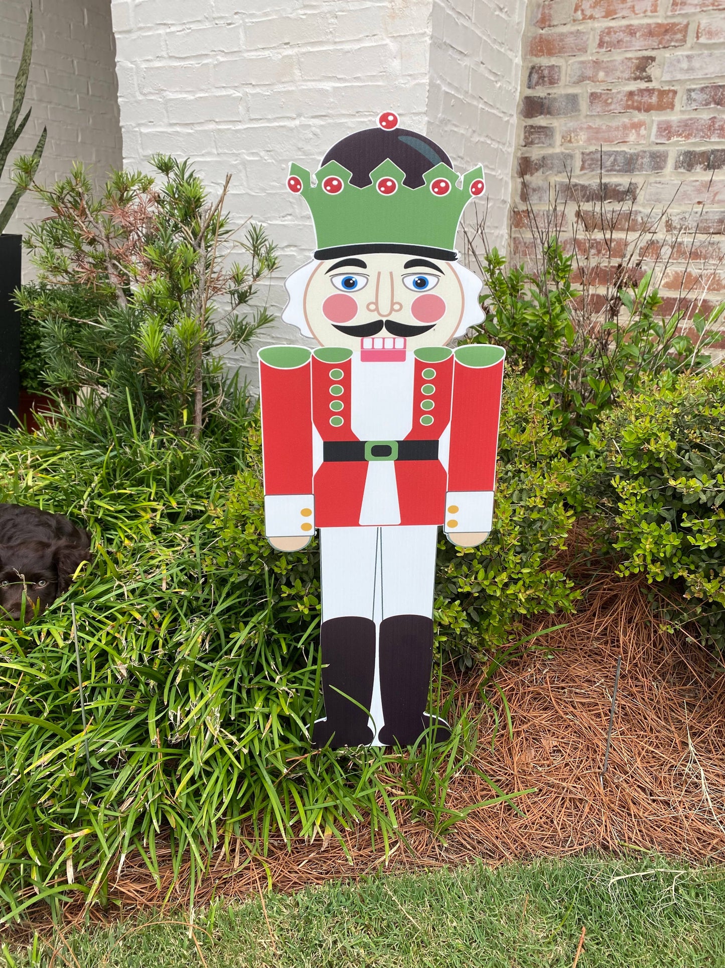 Nutcrackers MEDIUM