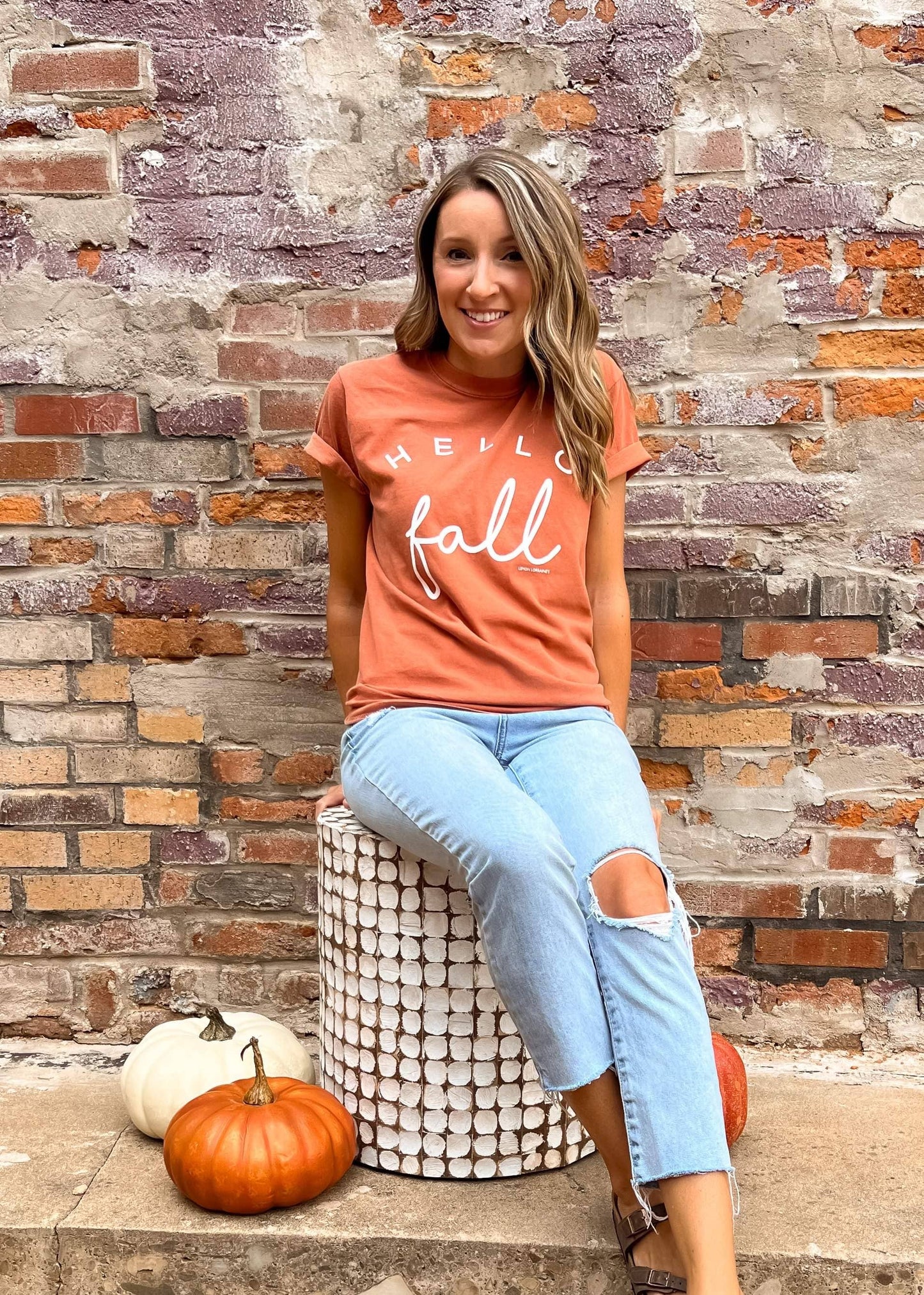 HELLO FALL Comfort Colors Graphic Tee