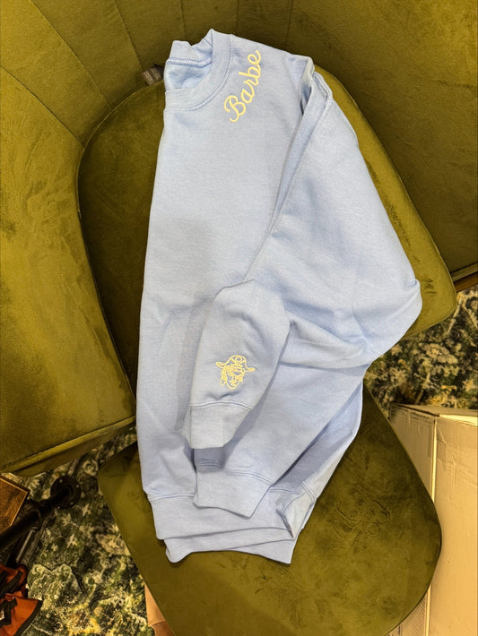 School Spirit Embroidered Sweatshirts